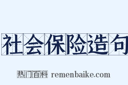 社会保险造句是什么意思的图片
